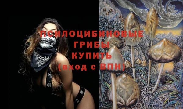 каннабис Новозыбков