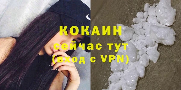 бошки Новодвинск