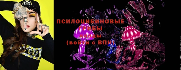 бошки Новодвинск