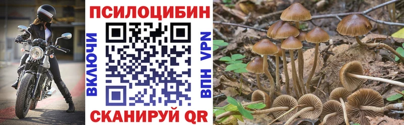 Псилоцибиновые грибы Psilocybe дарнет шоп Санкт-Петербург
