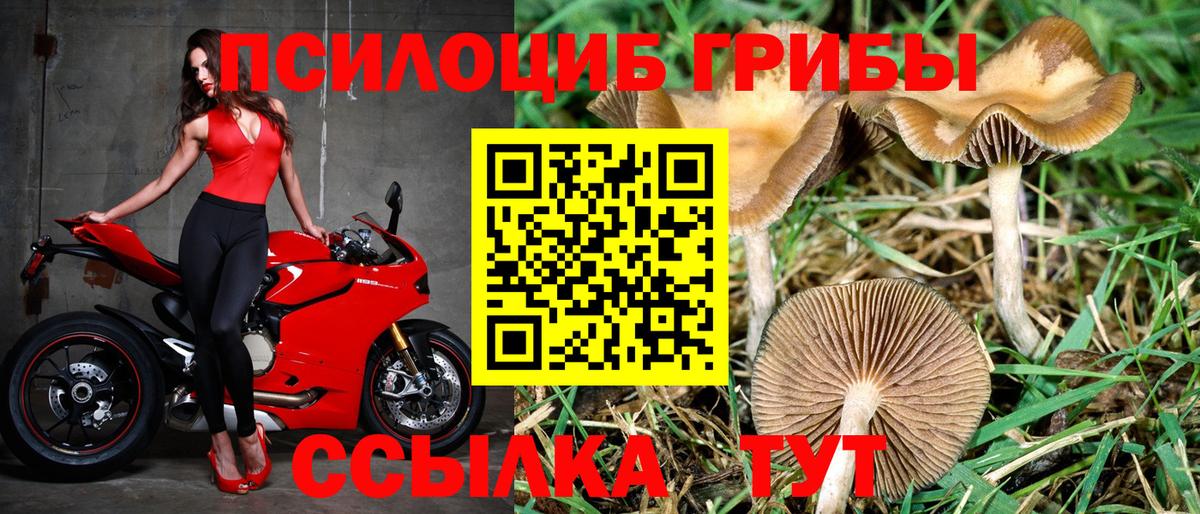 Галлюциногенные грибы мицелий  Галлюциногенные грибы Psilocybe  Санкт-Петербург  Вход с VPN 