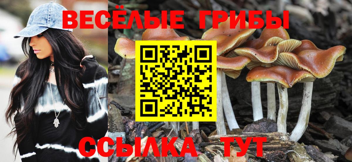 Псилоцибиновые грибы GOLDEN TEACHER Санкт-Петербург