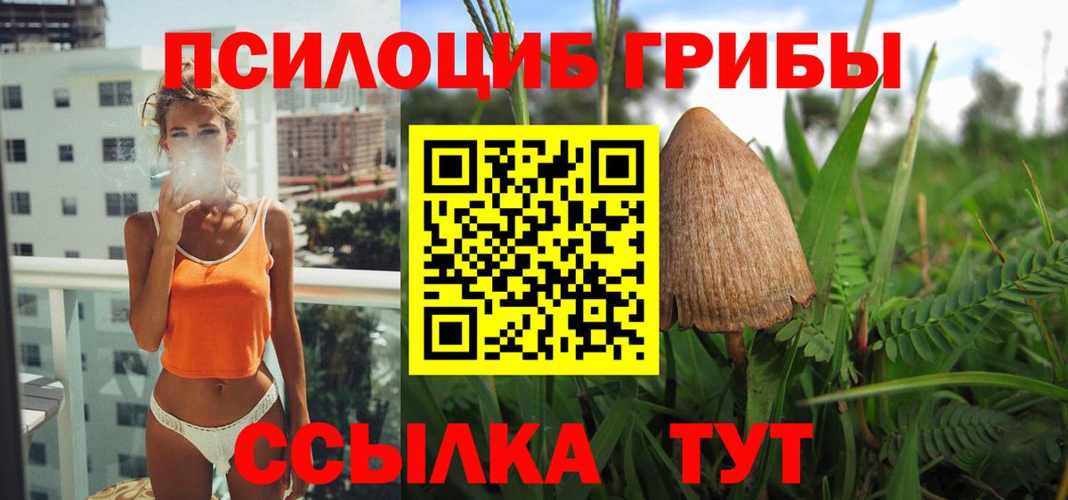 Галлюциногенные грибы мухоморы  Санкт-Петербург  Галлюциногенные грибы прущие грибы 