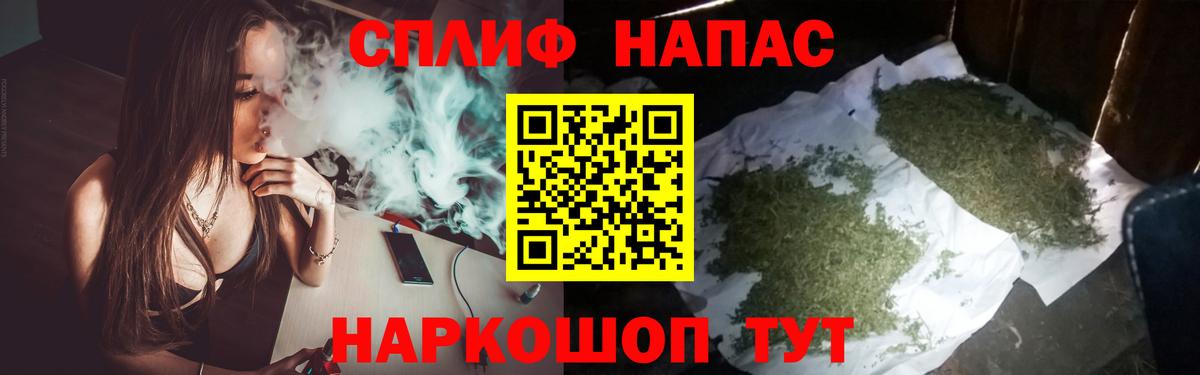 Канабис сатива  Каннабис индика  Санкт-Петербург 